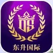 东升国际手游